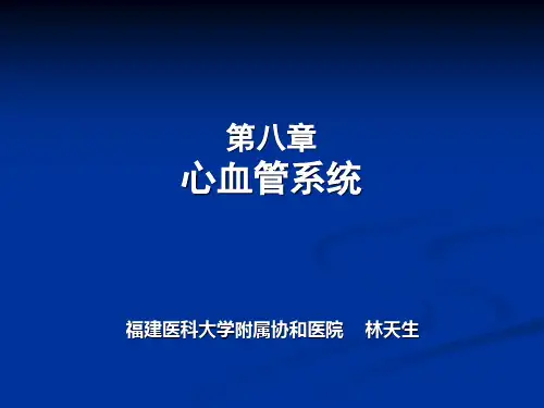 医科大学精品课件：第九章-心血管系统(第8版)2