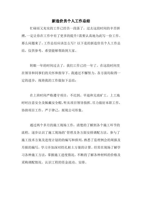新造价员个人工作总结