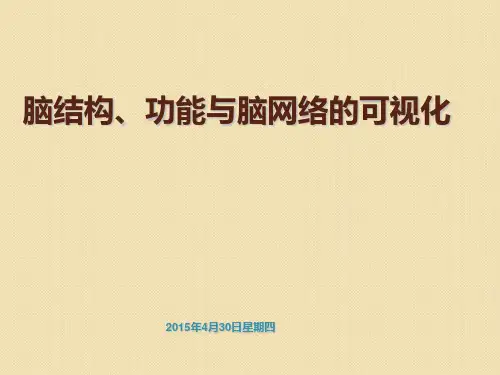 脑结构、脑功能与脑网络的可视化