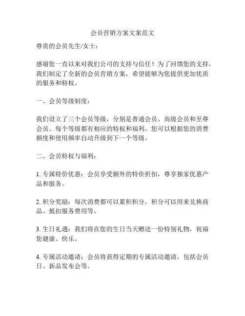 会员营销方案文案范文