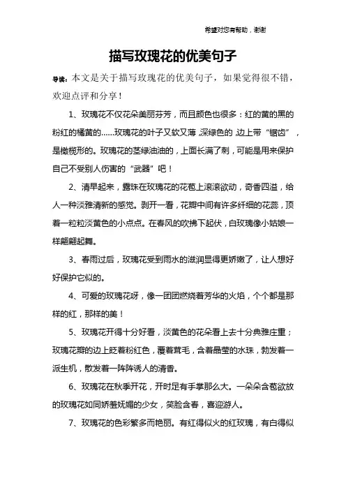 描写玫瑰花的优美句子