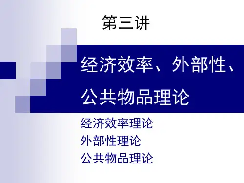 经济效率外部性公共物品理论