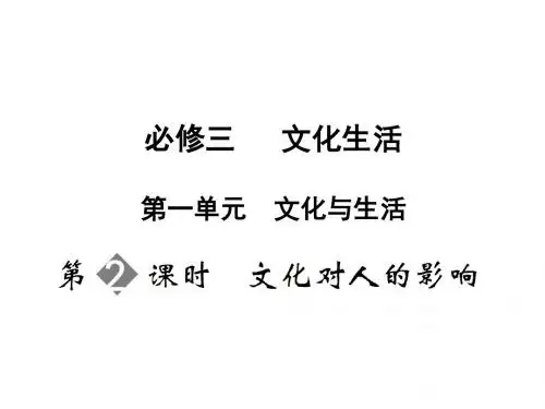 高二政治文化对人的影响(2)