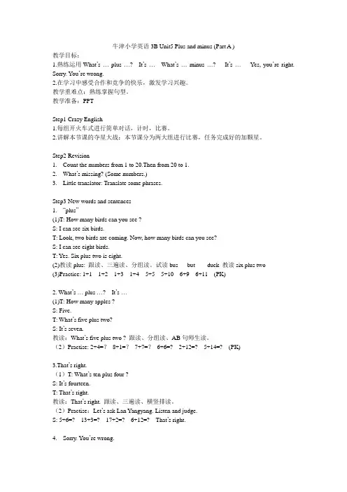 3B Unit5 Plus and minus (Part A)