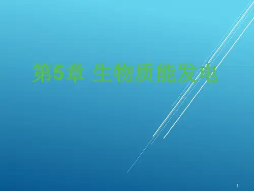 可再生能源发电第5章-生物质能发电--电子课件