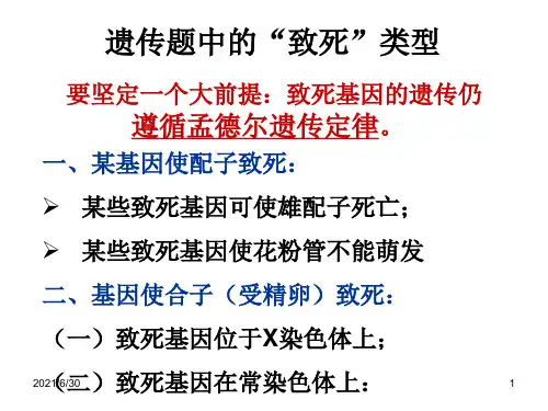 高中生物致死问题