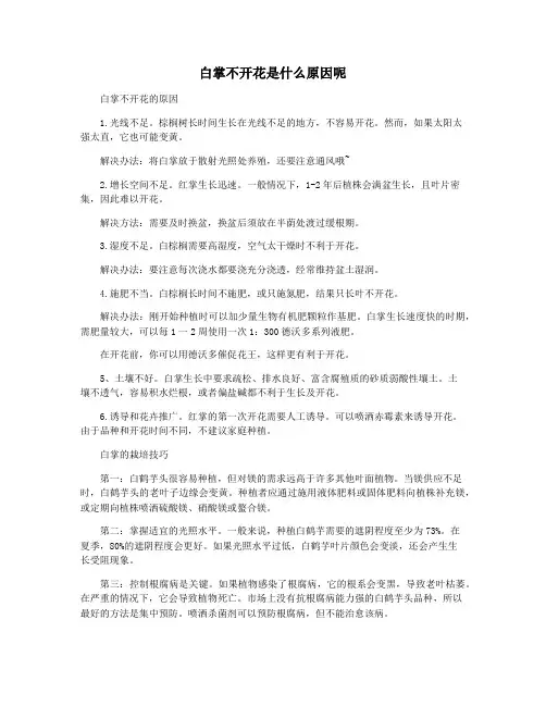 白掌不开花是什么原因呢