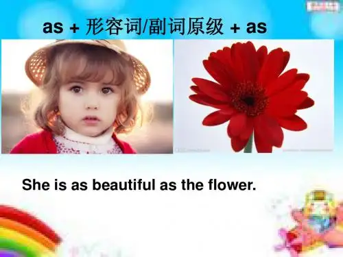 形容词,副词比较级最高级