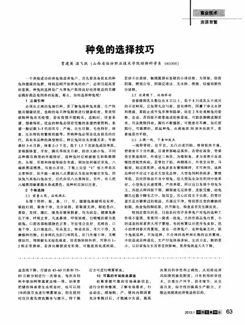 种兔的选择技巧