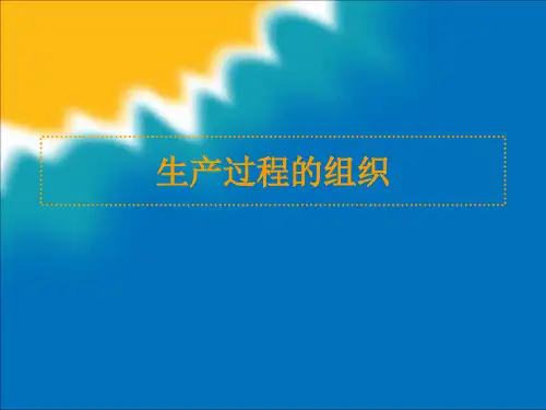 生产过程的组织