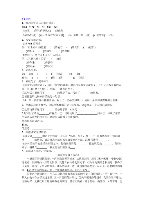 人教版语文四年级下册一课一练麦哨