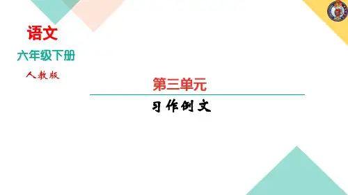 部编版六年级下册语文作业课件第三单元习作例文