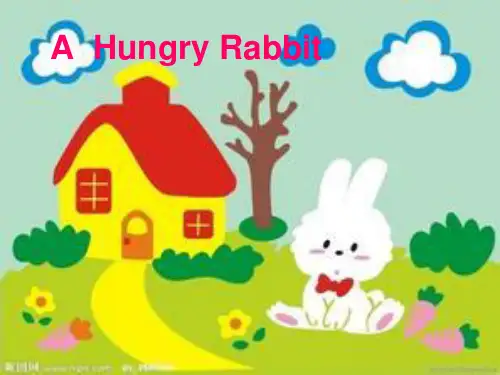 Hungry Rabbit