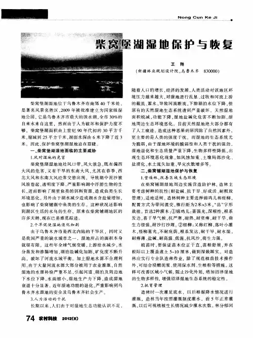 柴窝堡湖湿地保护与恢复