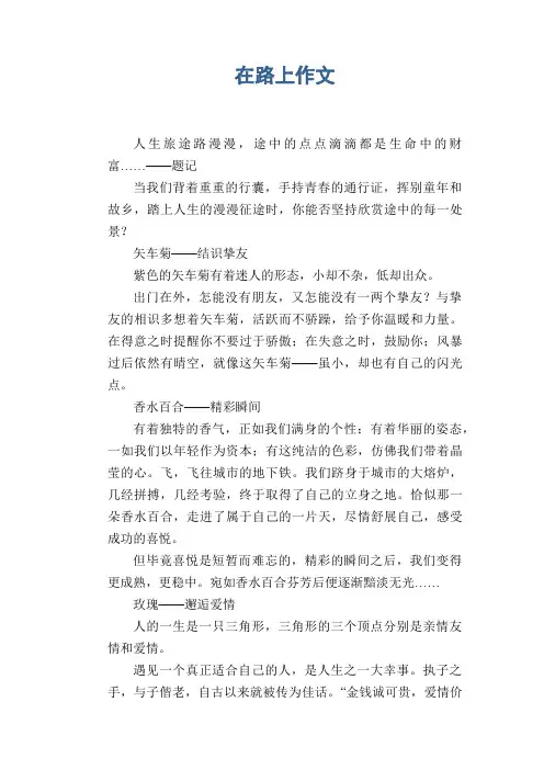 高中生作文：在路上作文  