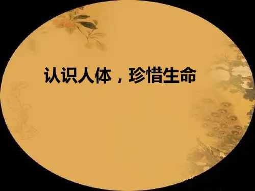 五脏的生理功能