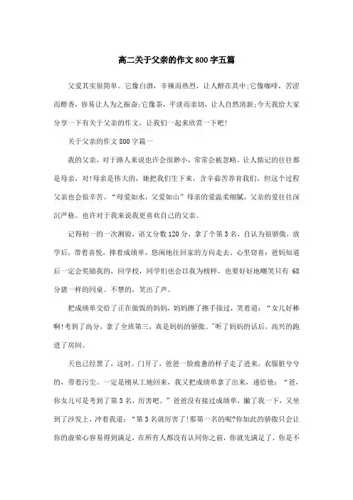 高二关于父亲的作文800字五篇