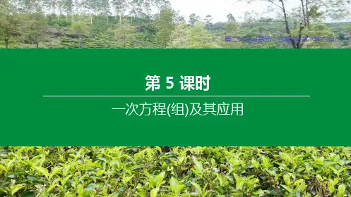中考数学复习第二单元方程组与不等式组第05课时一次方程组及其应用_1