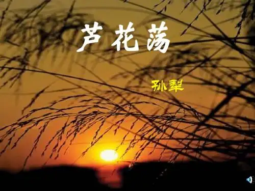 《芦花荡》课件