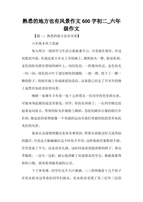 熟悉的地方也有风景作文600字初二_六年级作文