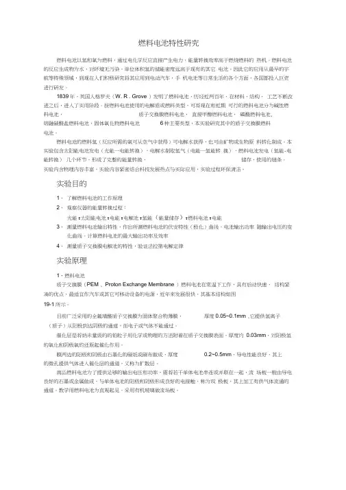 燃料电池特性研究