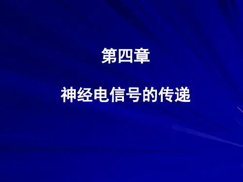 第4章 神经电信号的传递