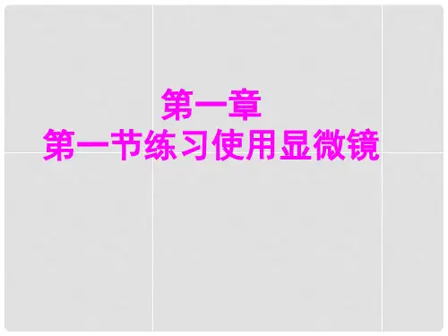 七年级生物上册 2.1.1 练习使用显微镜课件 (新版)新人