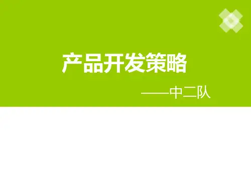 产品开发策略
