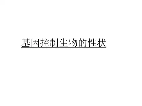 基因控制生物的性状练习题