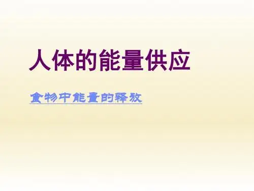 10.1-食物中能量的释放