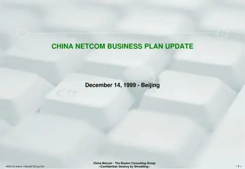 BCG:中国网络通讯集团公司战略报告