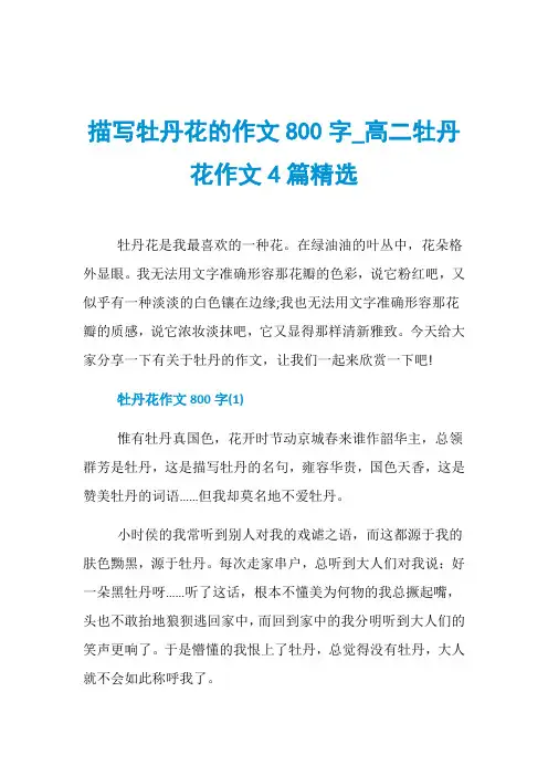 描写牡丹花的作文800字_高二牡丹花作文4篇精选