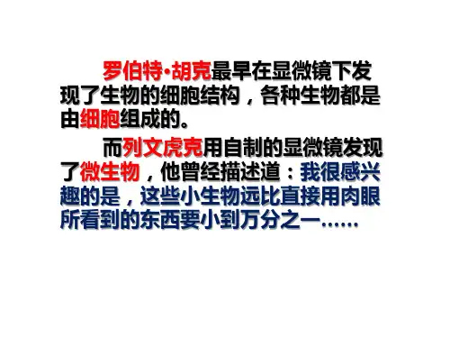 六年级下册科学课件1.7 用显微镜观察身边的生命世界(三)｜教科版 (共34张PPT)