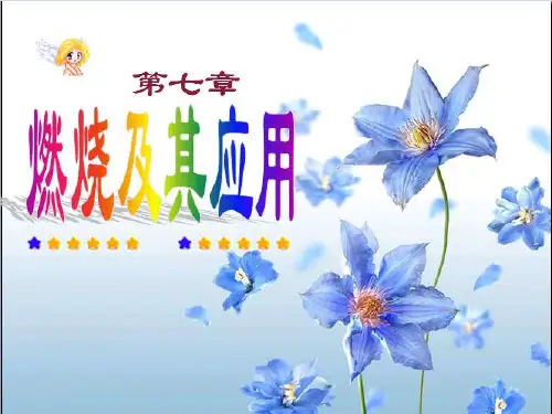 鲁教版九年级化学第六单元第一节燃烧与灭火课件
