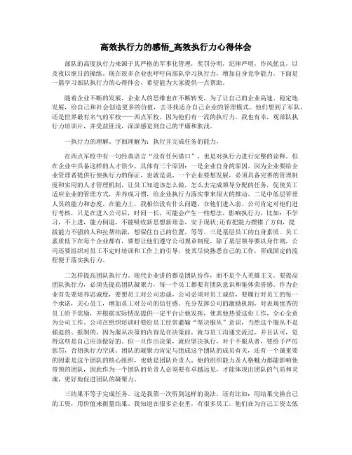高效执行力的感悟_高效执行力心得体会