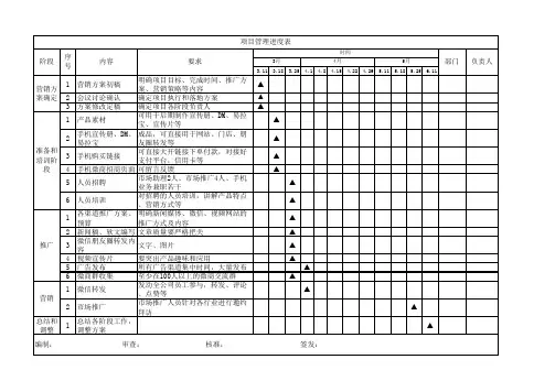 公司项目进度管理表