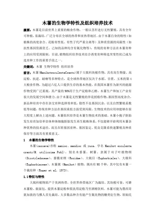 木薯的组织培养