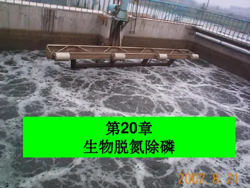 水污染控制工程课件教学PPT作者孙体昌娄金生生物脱氮除磷资料