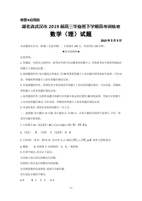 2019年5月9日湖北省武汉市2019届高三高考训练卷数学(理)试题及答案