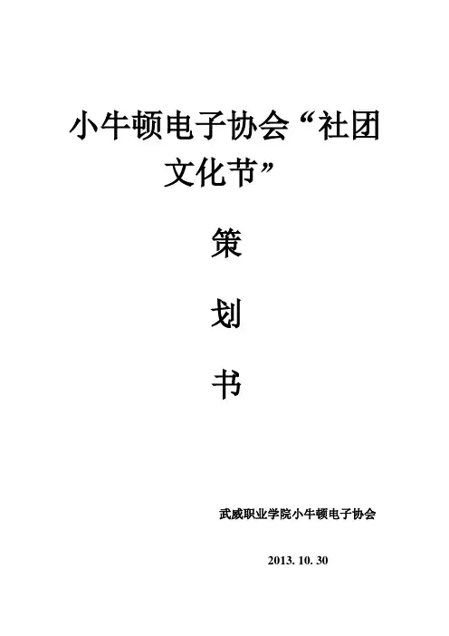 2小牛顿电子协会“社团文化节”策划书