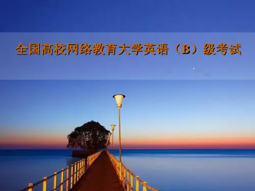 全国高校网络教育大学英语(B)级考试