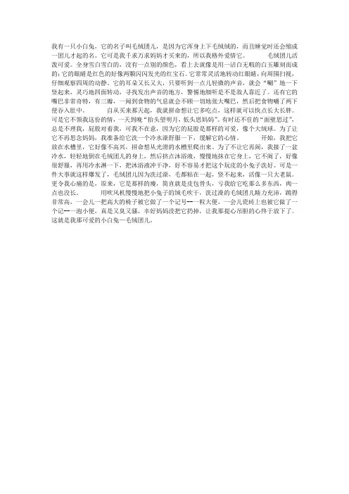我那只可爱的小白兔