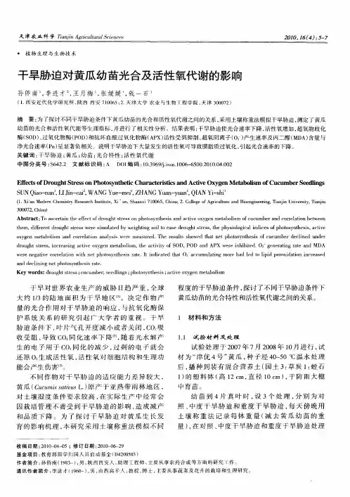 干旱胁迫对黄瓜幼苗光合及活性氧代谢的影响