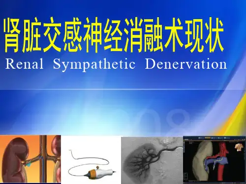 肾脏交感神经消融术现状