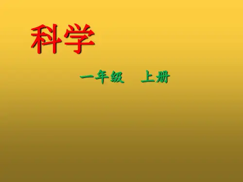 粤教版科学《校园里的植物》PPT课件完美版1