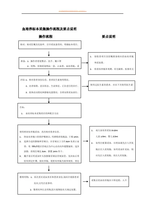 血培养标本采集操作流程