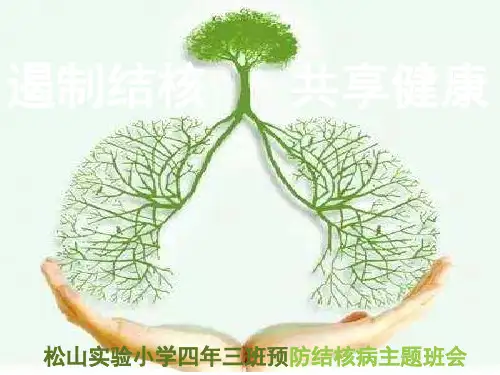 结核病预防主题班会PPT幻灯片