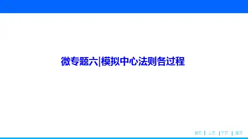 高中生物(知识归纳 命题探究)课件微专题六 模拟中心法则各过程