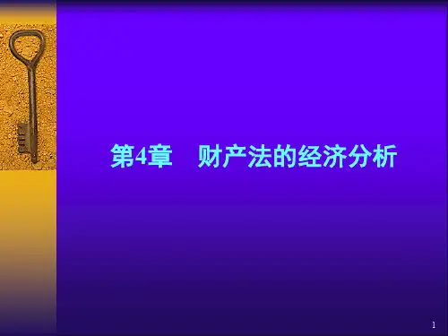 精品课程法经济学-PPT课件第4章 财产法的经济分析