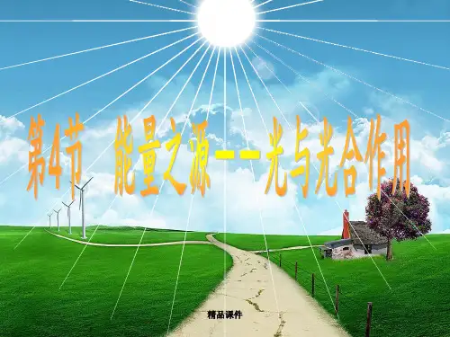 第五章第节捕获光能的色素和结构ppt课件
